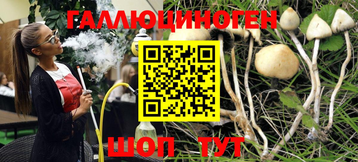 Псилоцибиновые грибы Magic Shrooms Тихвин