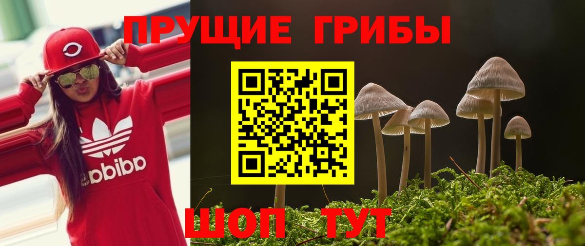 Галлюциногенные грибы Magic Shrooms  Галлюциногенные грибы ЛСД  Вход с VPN  Тихвин 
